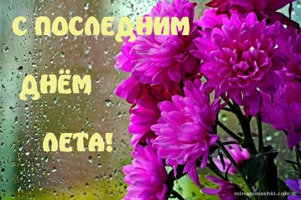 Последний день лета - 31 августа 2020
