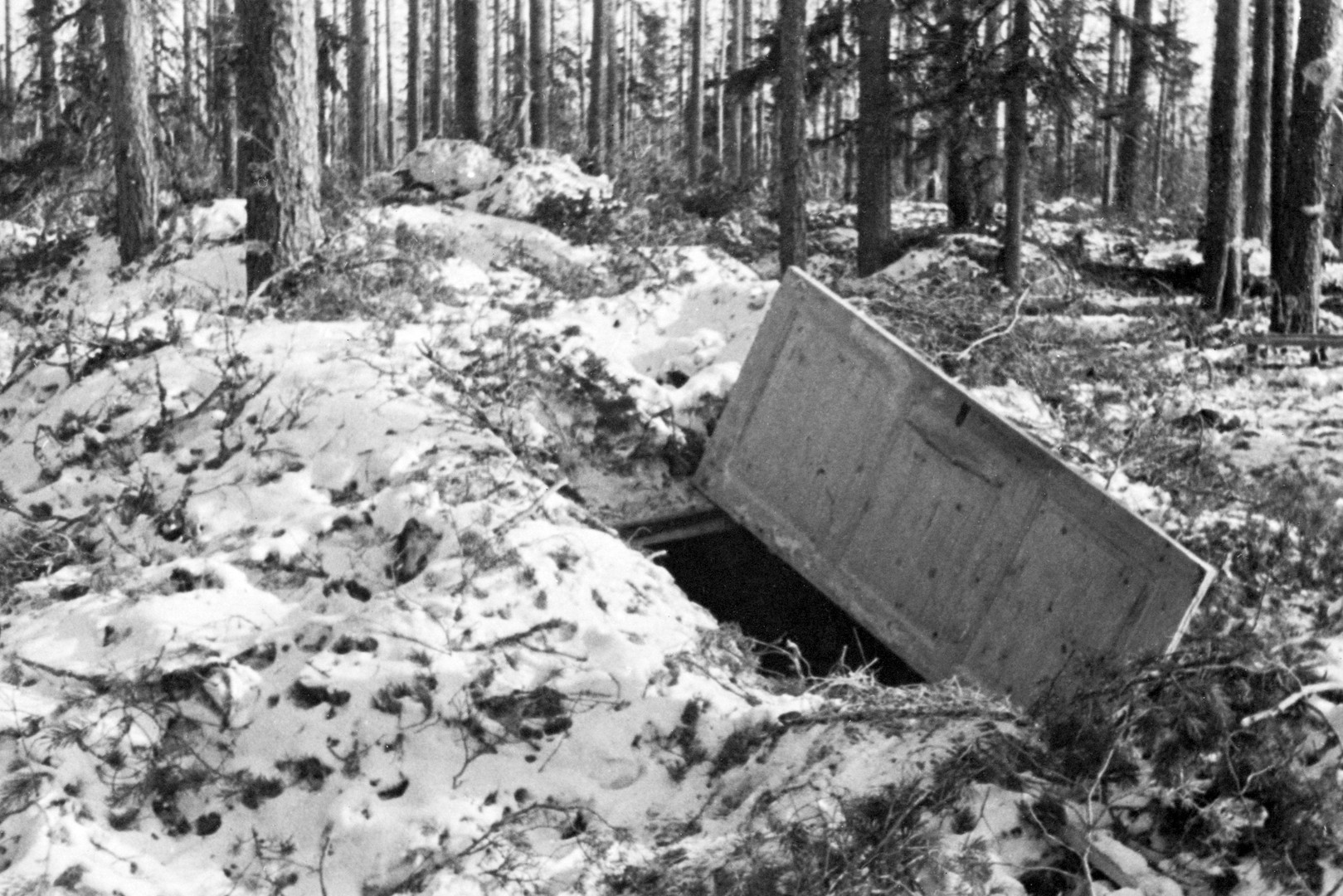 krov-na-snegu11