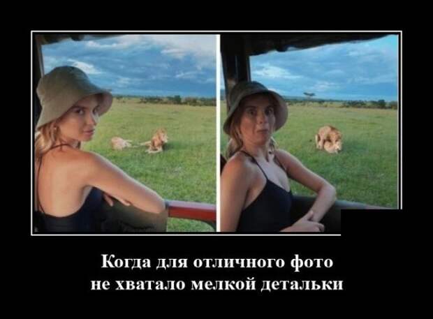 demotivatory-demotivator-smeshnye-demotivatory-demotivator-so-smyslom