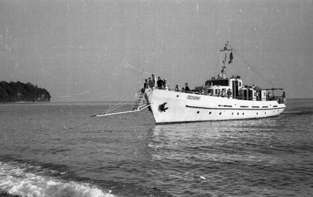 На Черном море (37 фото)