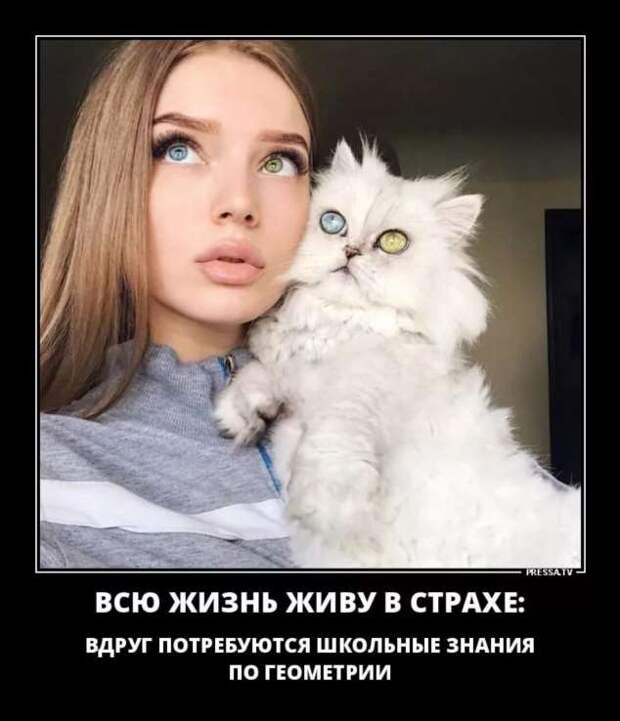 Прикольные демотиваторы с надписями. Подборка chert-poberi-dem-chert-poberi-dem-36031212082020-4 картинка chert-poberi-dem-36031212082020-4