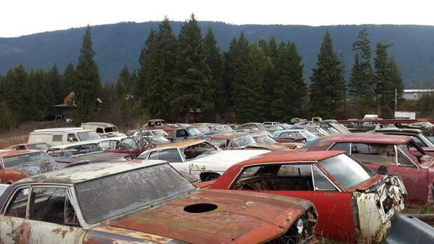Канадец продает ферму с коллекцией из 340 раритетных автомобилей