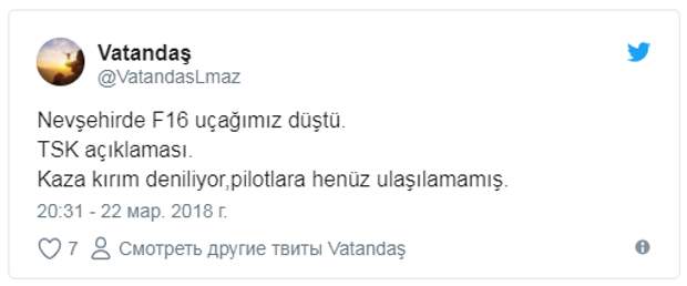Турецкие соцсети: "Самолёт F-16 cбили США после разговора Трампа с Эрдоганом"