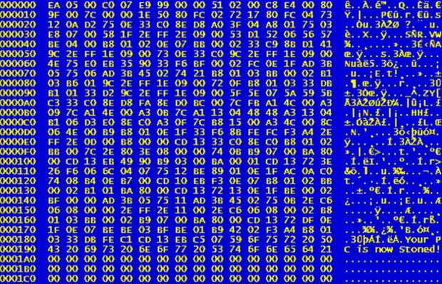 Первый компьютерный вирус.