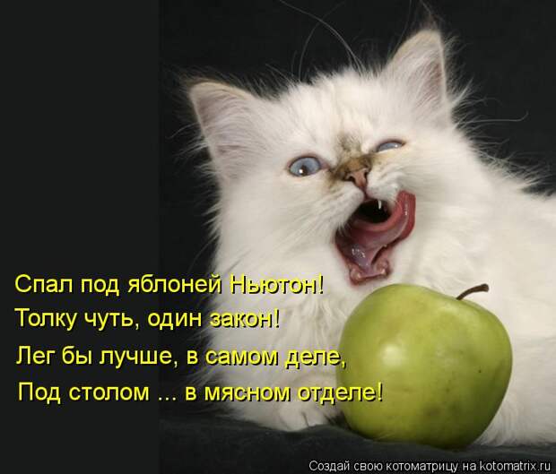 Котоматрица: Спал под яблоней Ньютон! Толку чуть, один закон! Лег бы лучше, в самом деле, Под столом ... в мясном отделе!