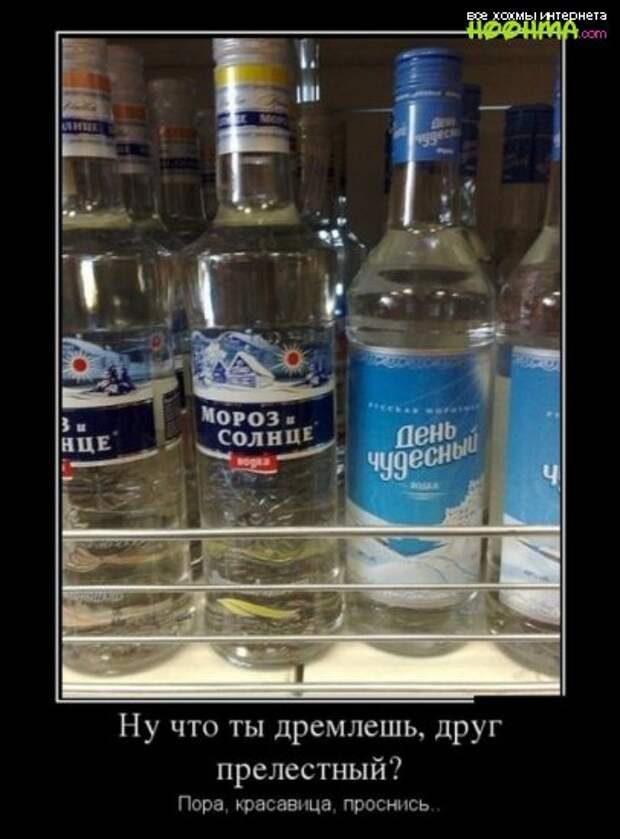 Свеженькие демотиваторы на сегодня