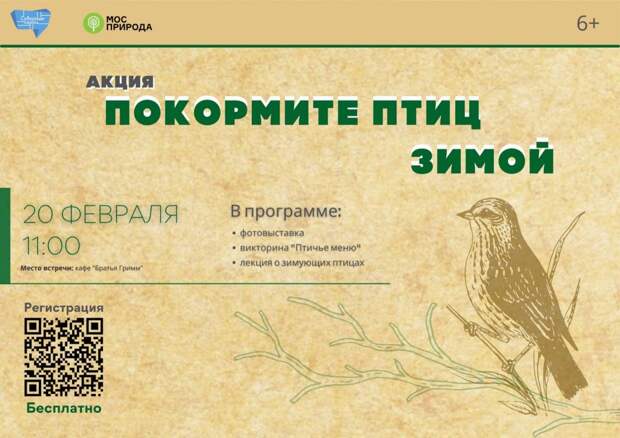 Экологическая акция «Покормите птиц зимой» пройдет в парке «Северное Тушино»