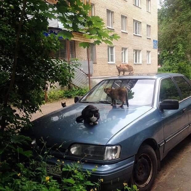Еле успел, чуть не угнали! банда, бандюки, грабеж, грабители, двор, прикол
