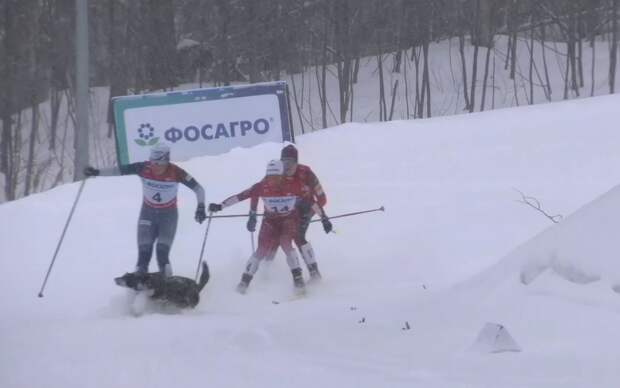 Лыжница из ХМАО попала в больницу после столкновения с собакой на чемпионате России