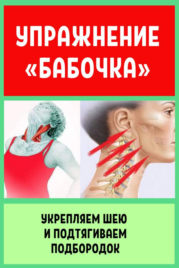 Упражнение укрепляет и удлиняет шею, подтягивает подбородок, улучшает овал лица снизу, растягивает грудные мышцы и замечательно улучшает осанку в верхней части тела. Наш возраст в первую очередь выдает шея! Можно сколько угодно пользоваться кремами, но особого результата не будет. Поэтому, для того чтобы вернуть шее первозданный вид, необходимо уделить ей особое внимание. Самый лучший способ укрепить шею — это специальные упражнения. Сегодня предлагаем разучить эффективное упражнение, которое улучшит овал лица и укрепит мышцы шеи.