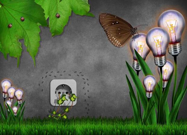 Эрдоган сообщил о ходе «Недели окружающей среды» в Турции