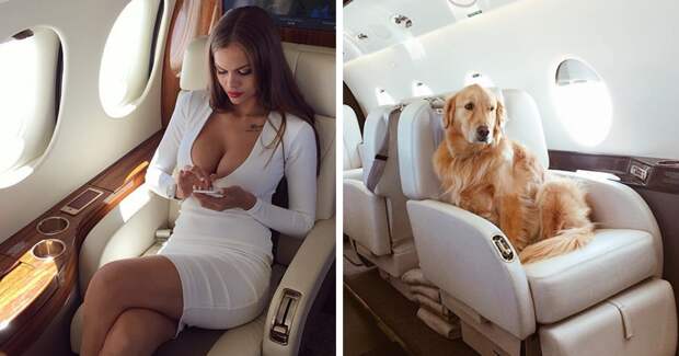 Обмани Инстаграм красиво: русская компания продает фотосессии в частном самолете Instagram, красивая жизнь, показуха, роскошь, самолет, соцсети, фото, частный самолет