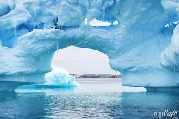 Интересные факты про Антарктиду: В чем разница
