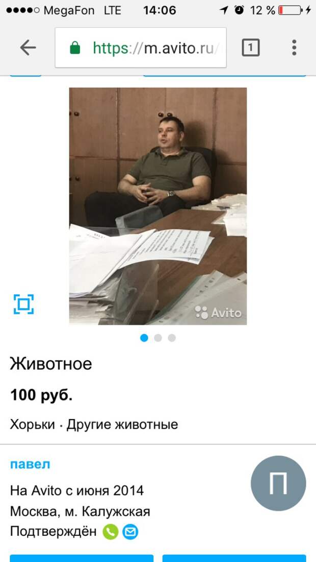 Смешные объявления с Avito, которые поднимут вам настроение Смешные объявления с Avito, которые поднимут вам настроение