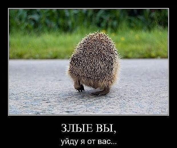 Минутка юмора (ч.7) OHKF3NtHy 4 Минутка юмора