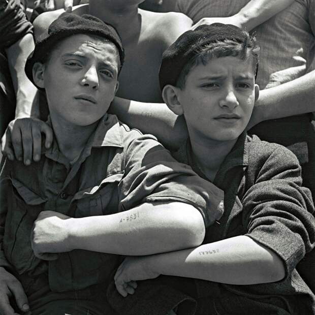 Еврейские мальчишки, освобожденные из Аушвица, показывают свои лагерные татуировки на борту корабля для беженцев, 15 июля 1945 года аушвиц, вторая мировая война, день памяти, конц.лагерь, концентрационный лагерь, освенцим, узники, холокост