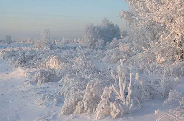 Красота Сибири (44 фото) Красота Сибири (44 фото)