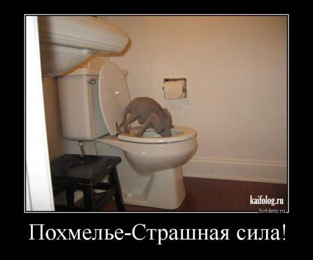 Очень прикольные демотиваторы (50 штук)