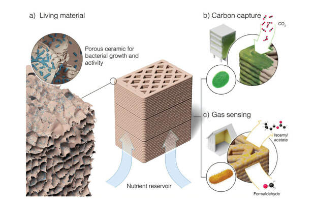 AdvMat: разработан керамический состав, обнаруживающий молекулы формальдегида