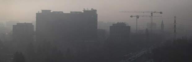 Смог может усиливать симптомы аллергии: врач из Алматы рассказал о причинах сезонного ринита