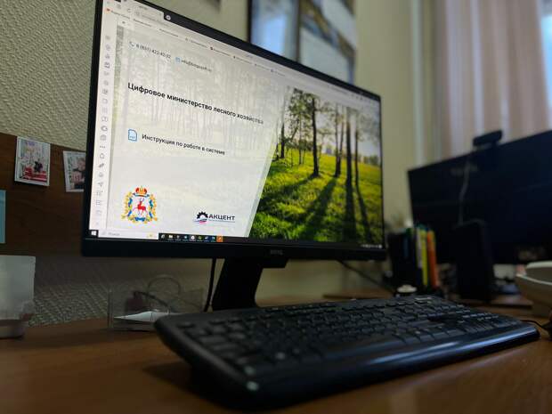 В 2025 году через систему «Цифровой лес» оказали более 14 000 услуг
