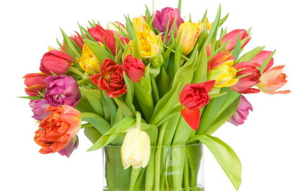 букет, тюльпаны, ваза