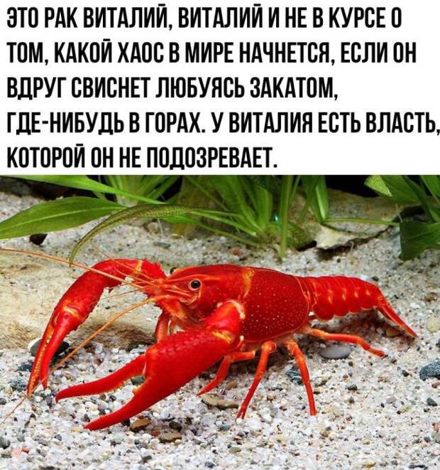 Забавные картинки с надписями со смыслом (11 фото) Забавные картинки с надписями со смыслом (11 фото)