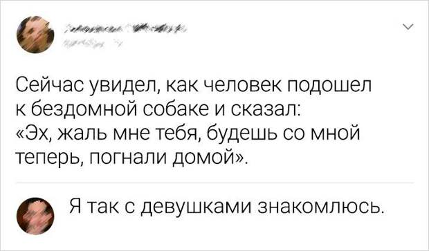 soccetey-kommentov-ostroumnyh-citaty-vkontakte-vkontakte-smeshnye-statusy