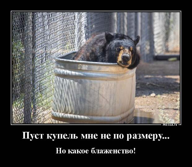 30 отменных демотиваторов на разные темы 30 отменных демотиваторов на разные темы