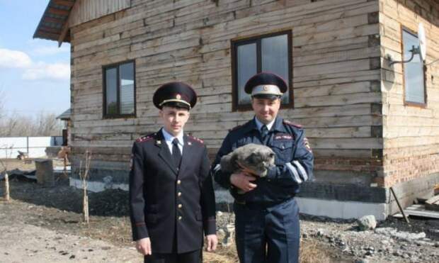 В Минусинске полицейские спасли кота из горевшего дома