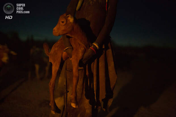 Треугольник Илеми. 14 октября. Девочка из племени туркана обнимает ягнёнка в краале. (REUTERS/Siegfried Modola)