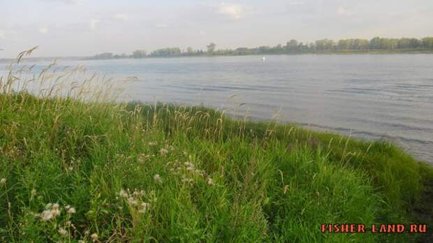 приманка для карпа, приманки для ловли карпа, на какую приманку ловить карпа, уловистые приманки, прикормка для ловли карпа, рыбалка в орске