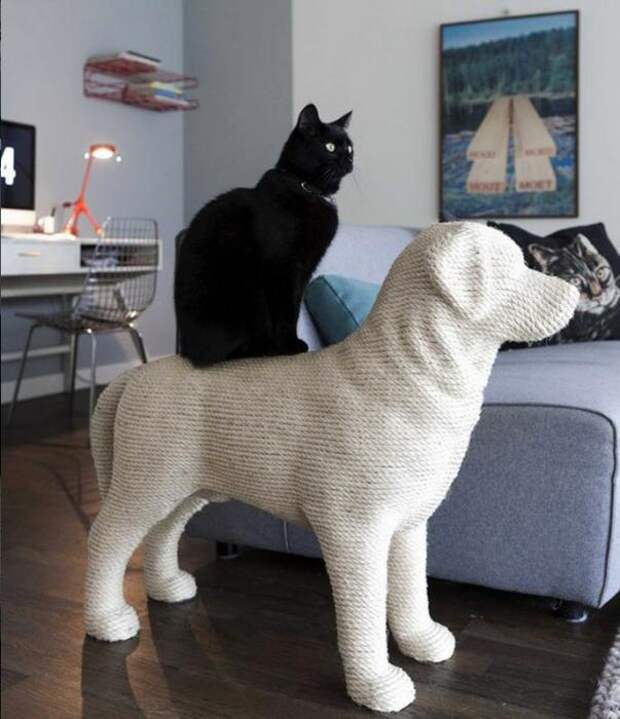 Котодизайн
