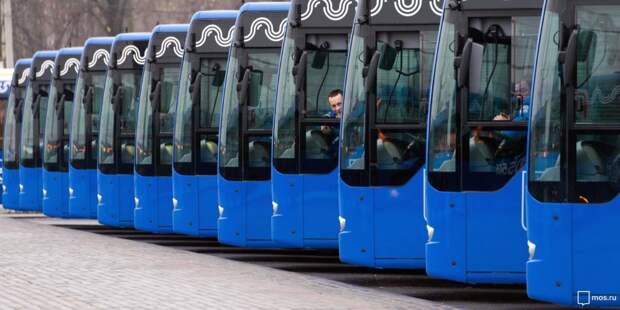 Полуэкспрессные автобусы №909 перевезли более 180 тысяч пассажиров за месяц