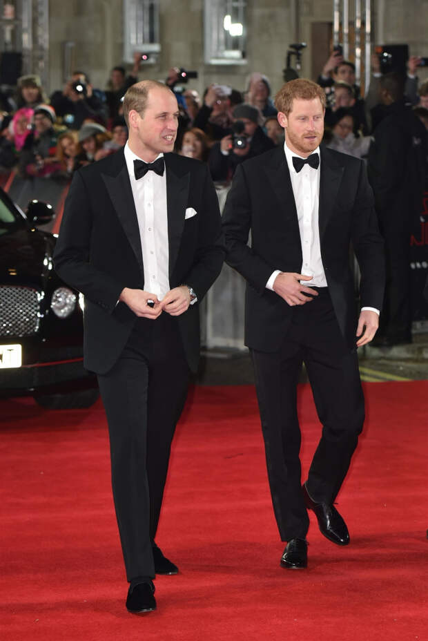 Принцы Уильям и Гарри, 2018