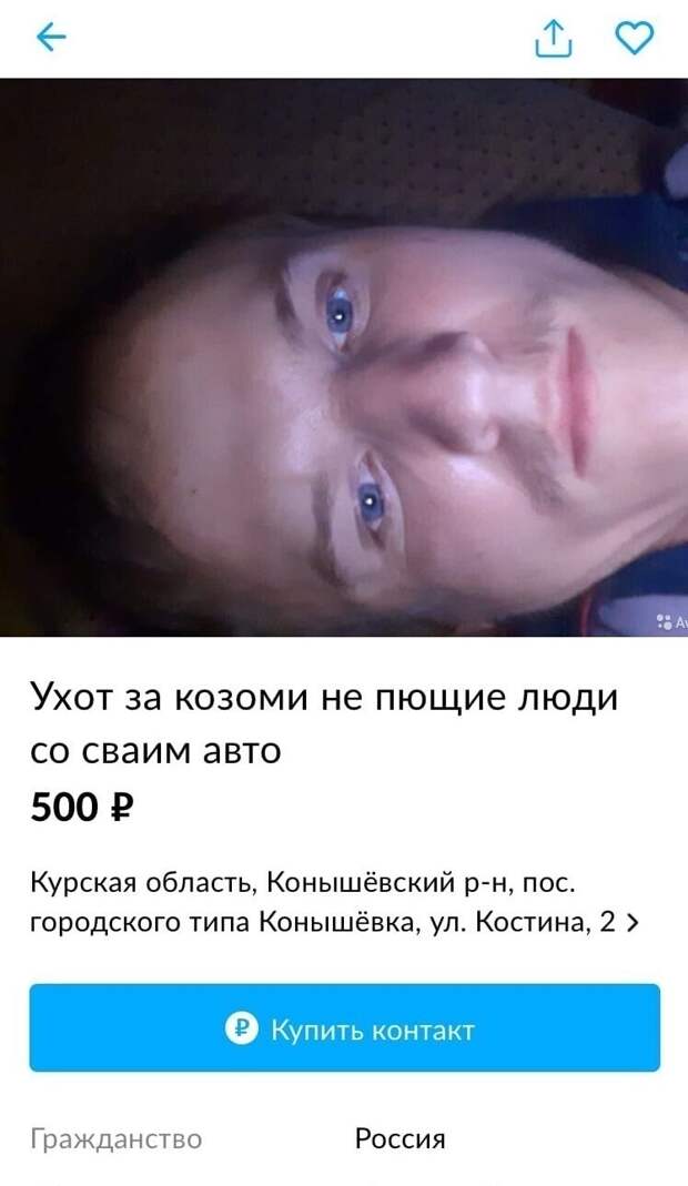 15. Что-то подсказывает, что пастух перед нами профессиональный. Он не отвлекался на всякую ерунду, типа школы