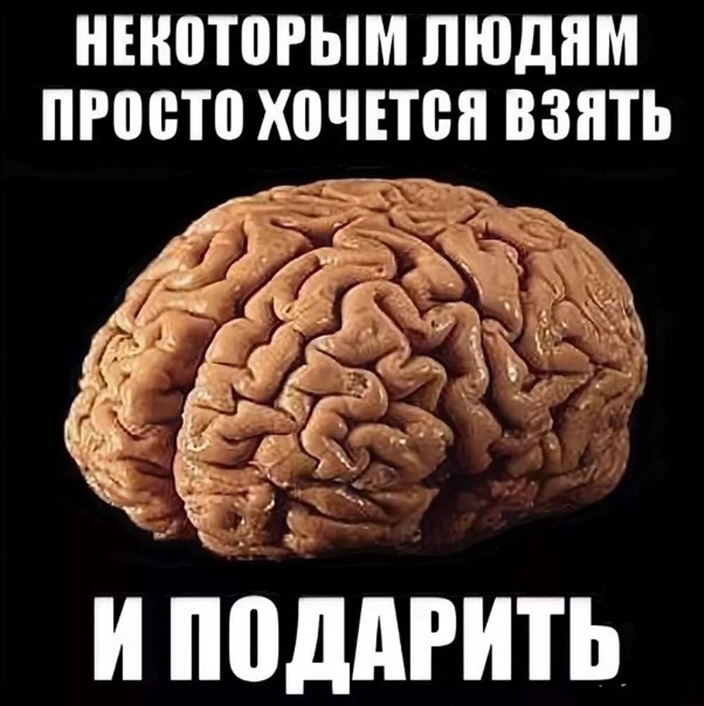 Ума не дам. Мозг в подарок. Дарю мозг. Картинка мозгов.