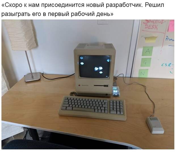 Шутники и шутки :)