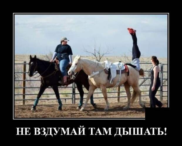 demotivatory-demotivator-smeshnye-demotivatory-demotivator-so-smyslom