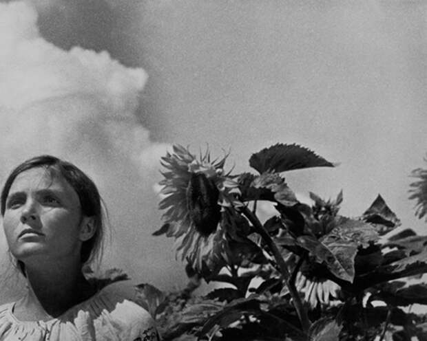 http://changeua.com/wp-content/uploads/2016/08/dovzhenko-1.jpg