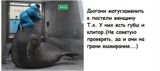 Интересные факты обо всем на свете Интересные факты обо всем на свете