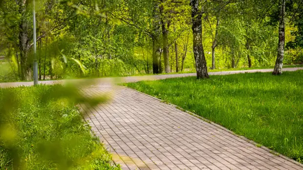 В Москве выбрали проект реабилитации Щукинского парка