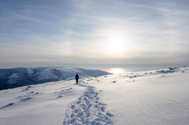 Изменение средней температуры в России за 50 лет оценили