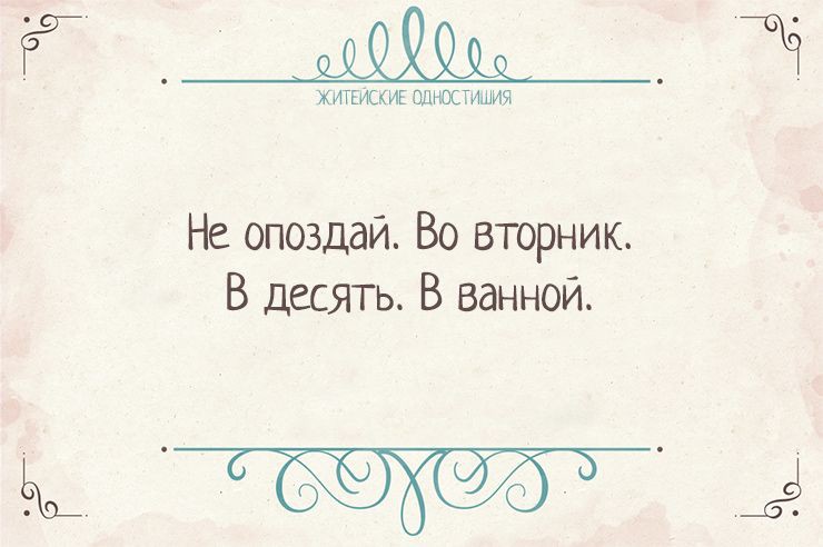 Вся житейская истина в одностишиях Одностишья, открытки, юмор