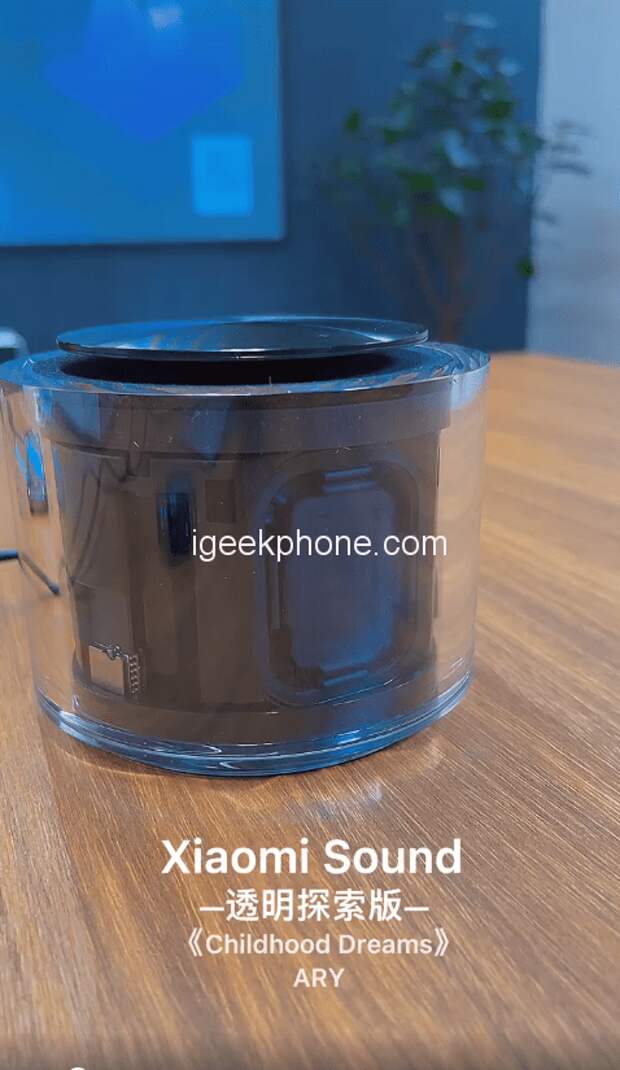 Самая лучшая колонка Xiaomi со звуком Harman в прозрачном корпусе: Xiaomi Sound Transparent Discovery Edition показали вживую