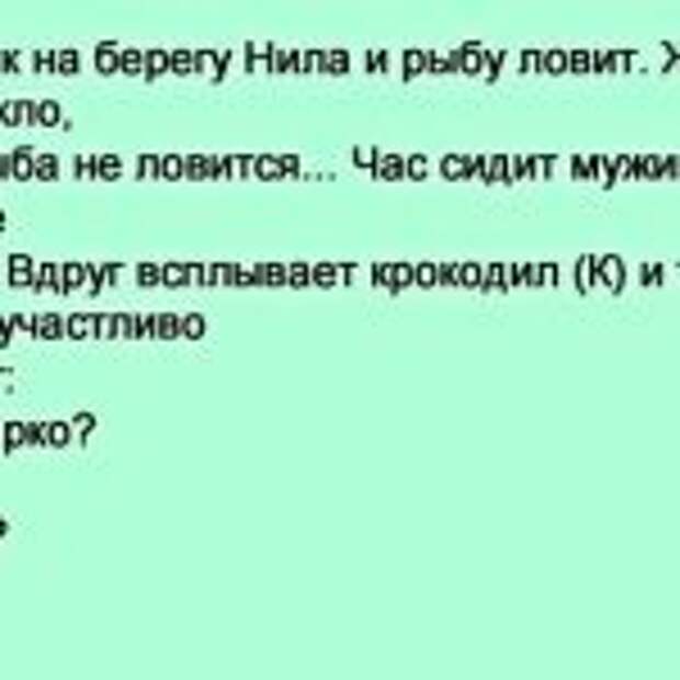 Сидит мужик на берегу Нила и рыбу ловит…