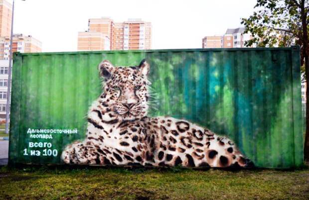 Граффити с дальневосточным леопардом/Фото: сайт школы №2044