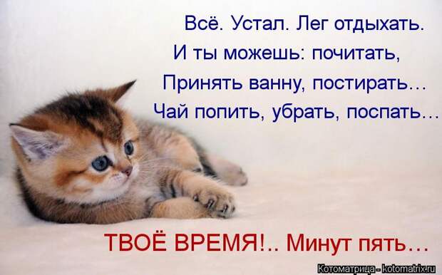 Котоматрица: Всё. Устал. Лег отдыхать. И ты можешь: почитать, Принять ванну, постирать… Чай попить, убрать, поспать…  ТВОЁ ВРЕМЯ!.. Минут пять…