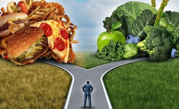 Выбор между жирной и растительной пищей