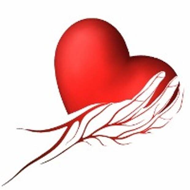http://heart4life.com.ua/content/page/page_183.jpg